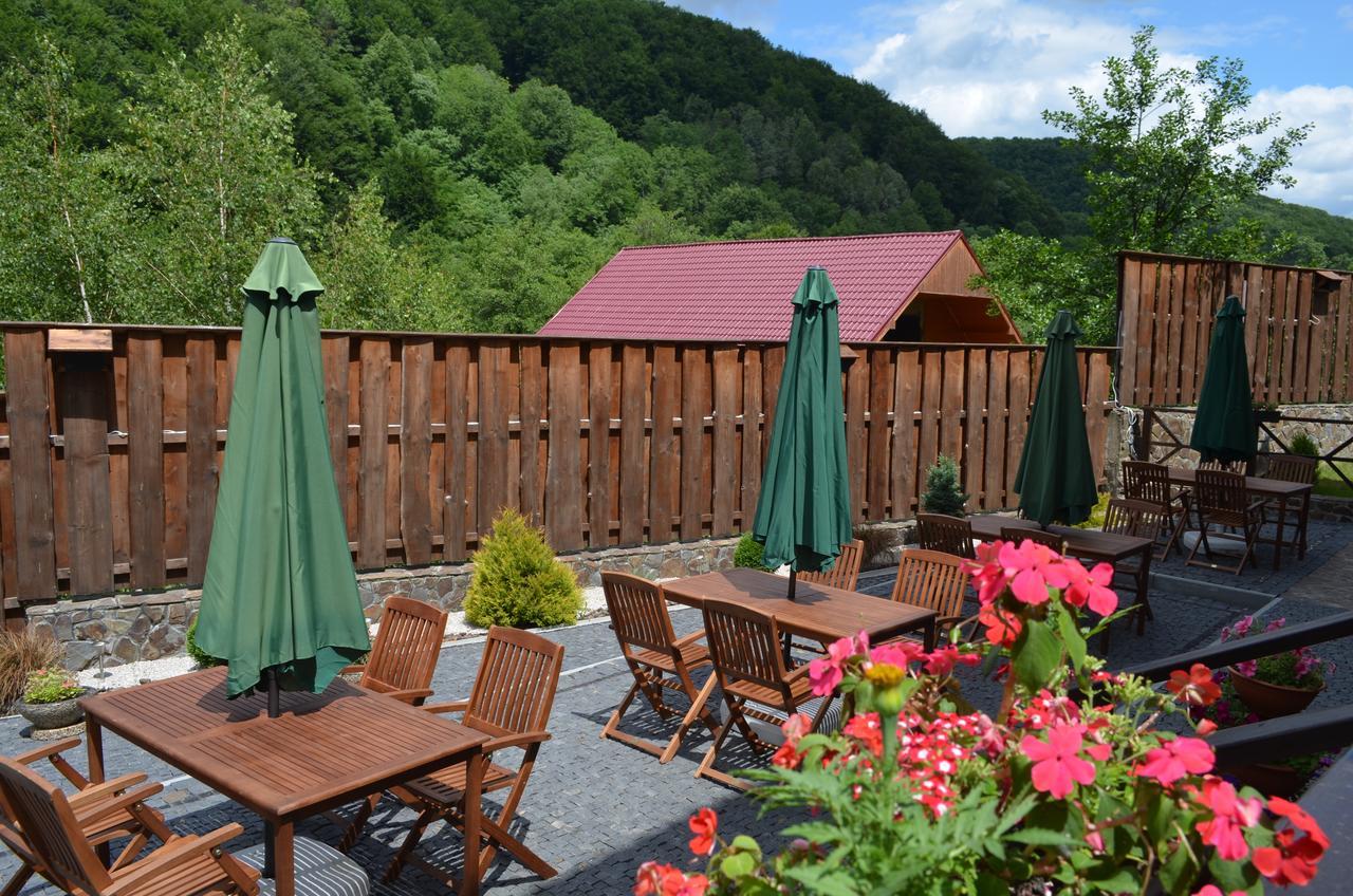 Sadyba Sribne Dzherelo Hotell Ilnytsya Exteriör bild