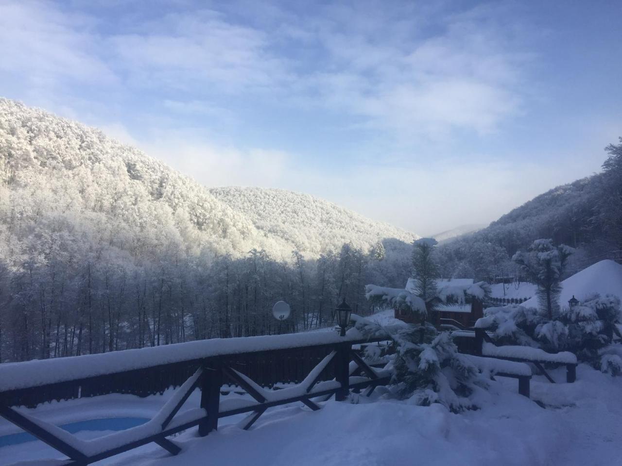 Sadyba Sribne Dzherelo Hotell Ilnytsya Exteriör bild